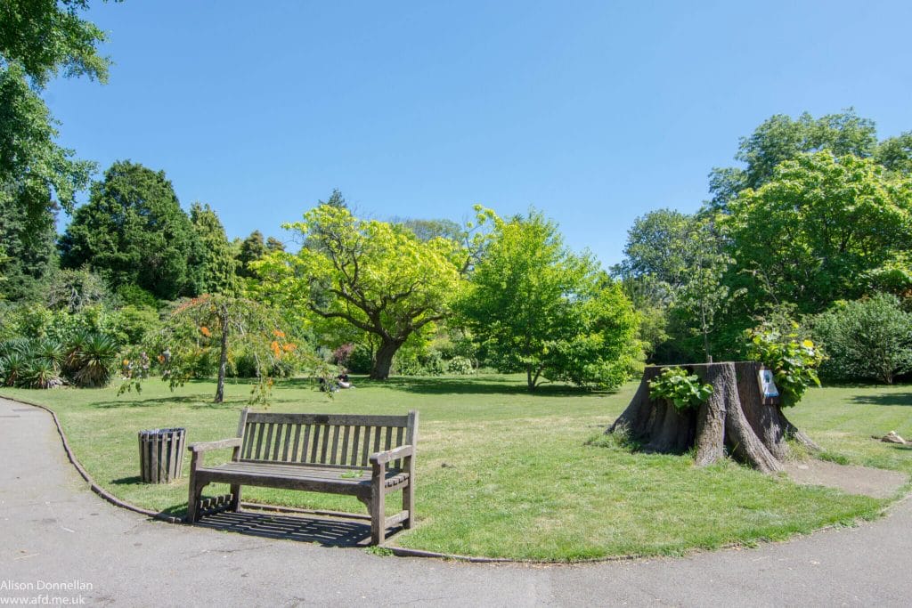 Victoria Park, Bath