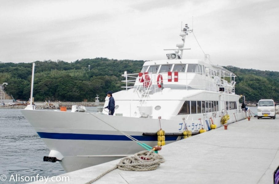 PIcture of the ferry that goes to Tashirojima, Cat Island 