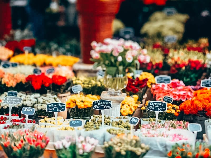 Tulips at the floating flowe rmarket in Amsterdam