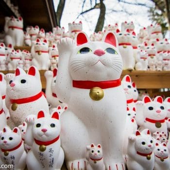 Photograph of Beckoning Cats in Tokyo Japan