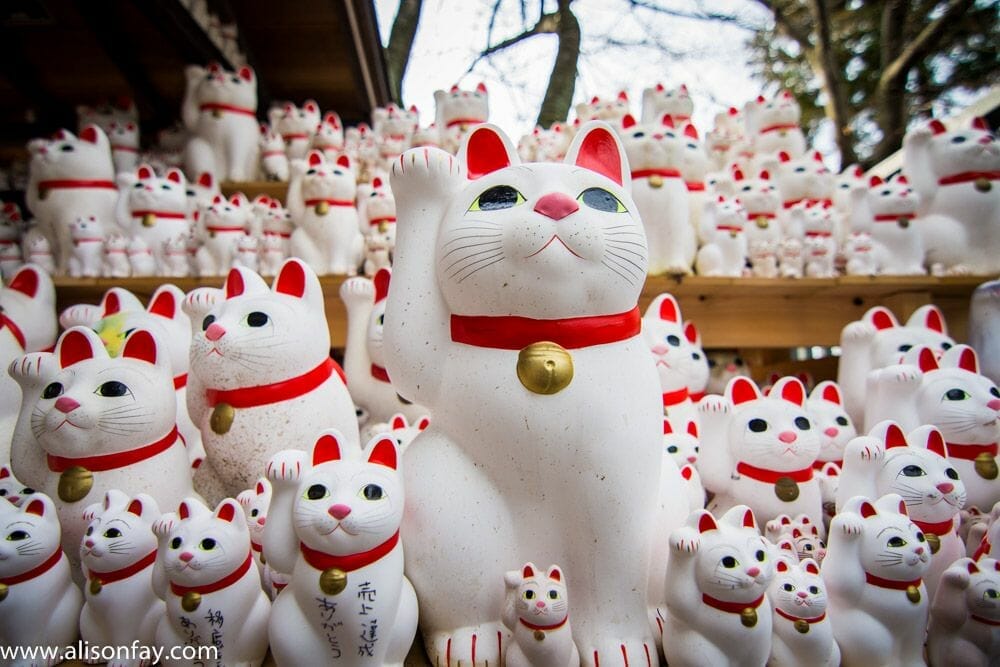 Photograph of Beckoning Cats in Tokyo Japan