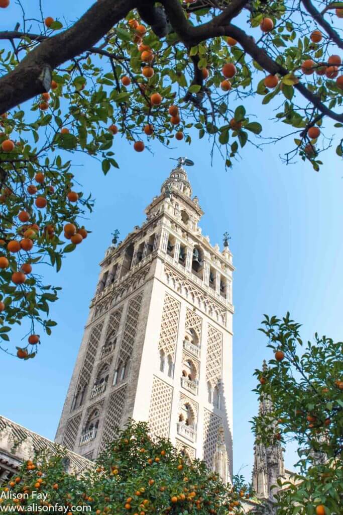 Photo of La Giralda in Seville