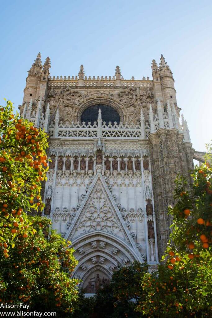 Travel photo of Seville's Cathedral