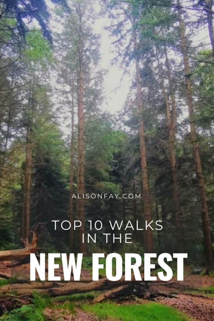 Top 10 walks in the new forest