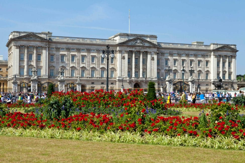 Buckingham Palace with red poppy flowers out front and a blue sky