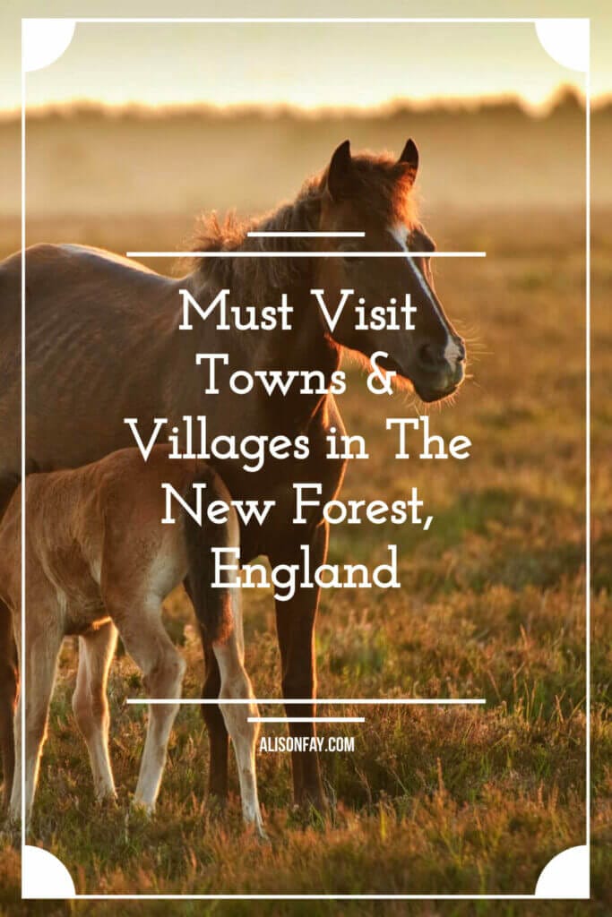 Must visit Towns & Villagers In The New Forest, England