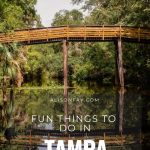 Fun things to do in Tampa, Florida For A Family Vacation