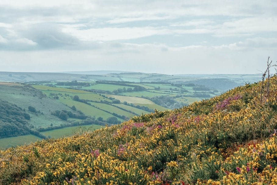 Photo of Exmoor national park