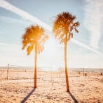 Clearwater Beach volleyball courts