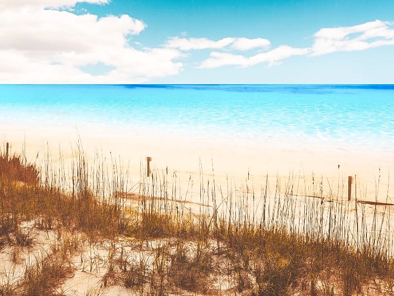 the beach at Henderson beach state park, looking towards the sea on a cloudy sunny day. 