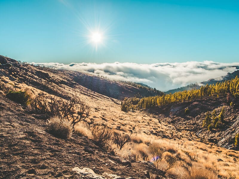 View across Teide national park