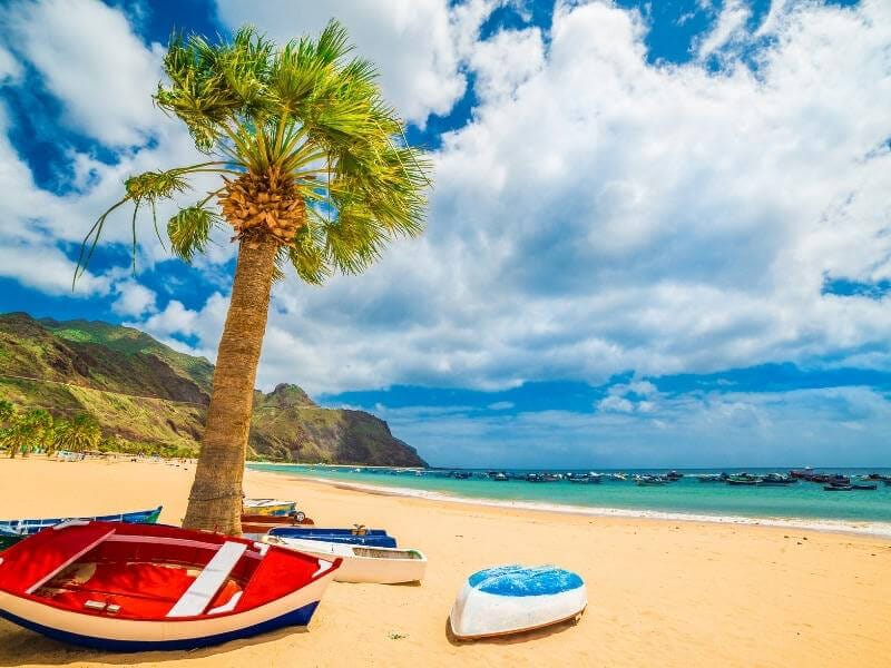 Boats on the sand, resting against a palm tree on Las Teresitas Beach