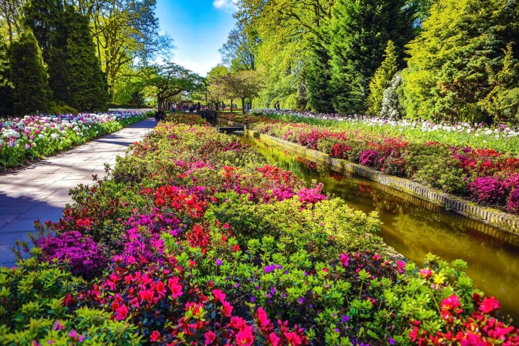 Flowers blooming in Keukenhof