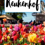 How to visit Keukenhof