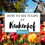 How to see the tulips at Keukenhof