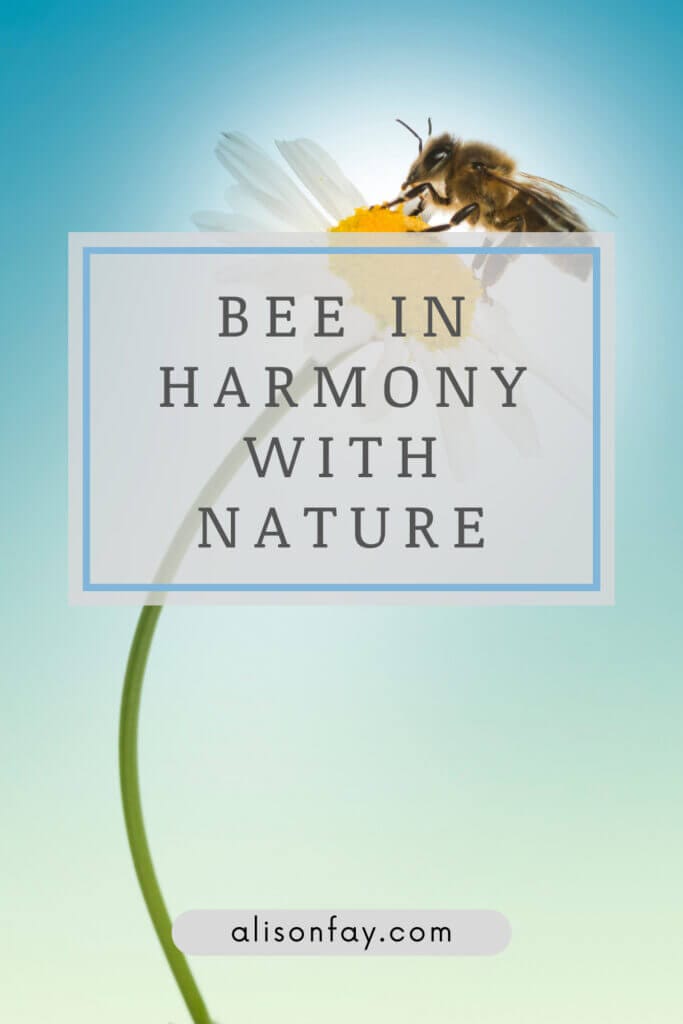 Bee in harmony with nature