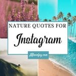 200+ Nature Captions for instagram