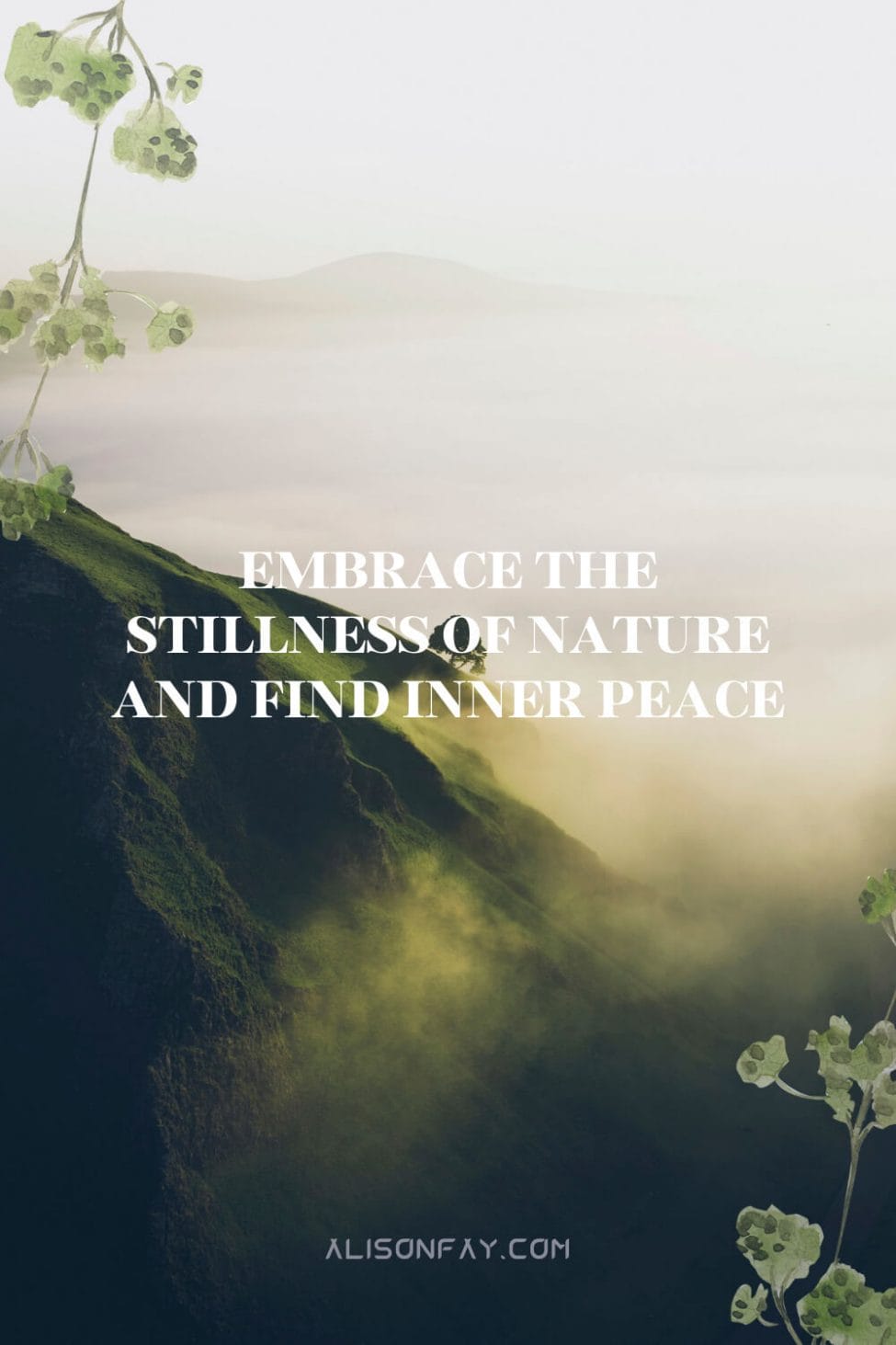 Embrace the stillness of nature and find inner peace