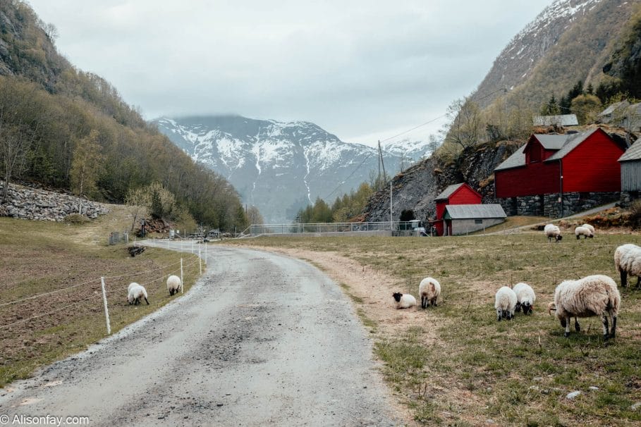 Farm house in front of Mountains in Odda, Norway