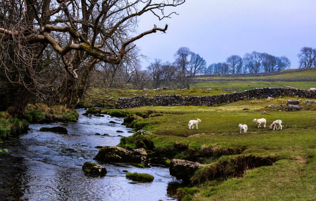 Kinder Scout in the Peak District