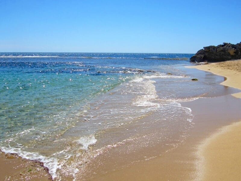 Penguin Island at Shoalwater Islands