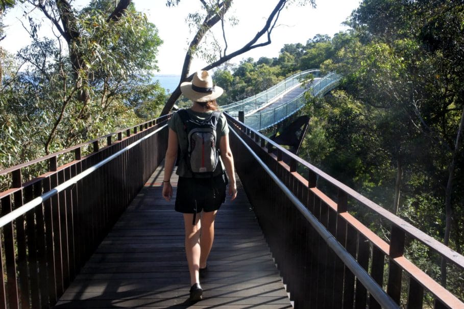 woman walking over Perth Walkway Glass Arched Bridge in Kings Park and Botanical Gardens in Perth  Western Australia.