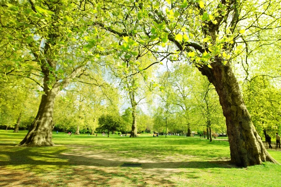 Spring in St James Garden, London, England