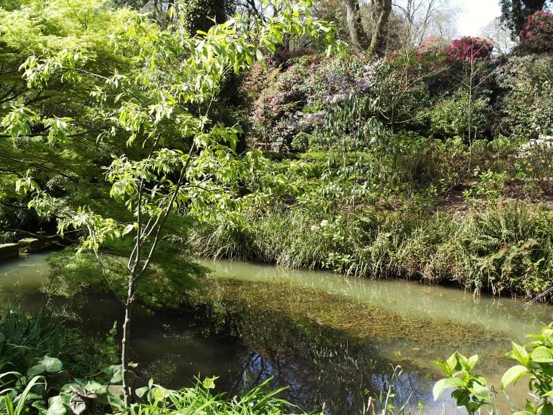 Abbotsbury Subtropical Gardens