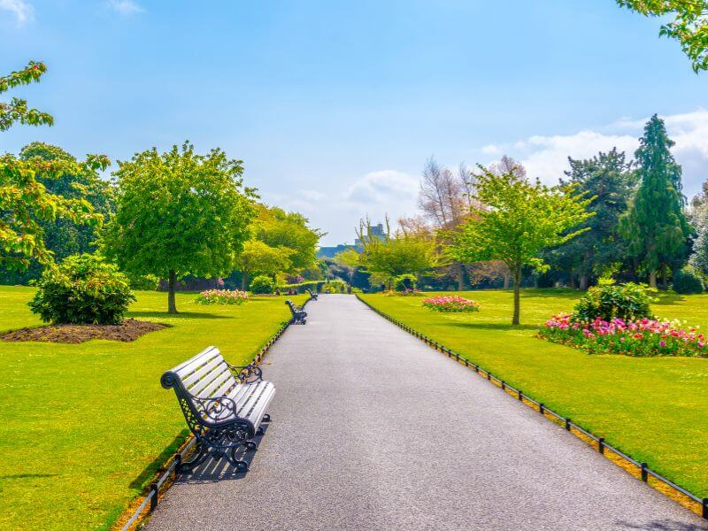 People's garden in Phoenix park