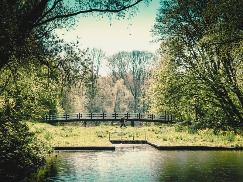 Amsterdamse Bos