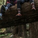 two person sitting on brown tree trunk