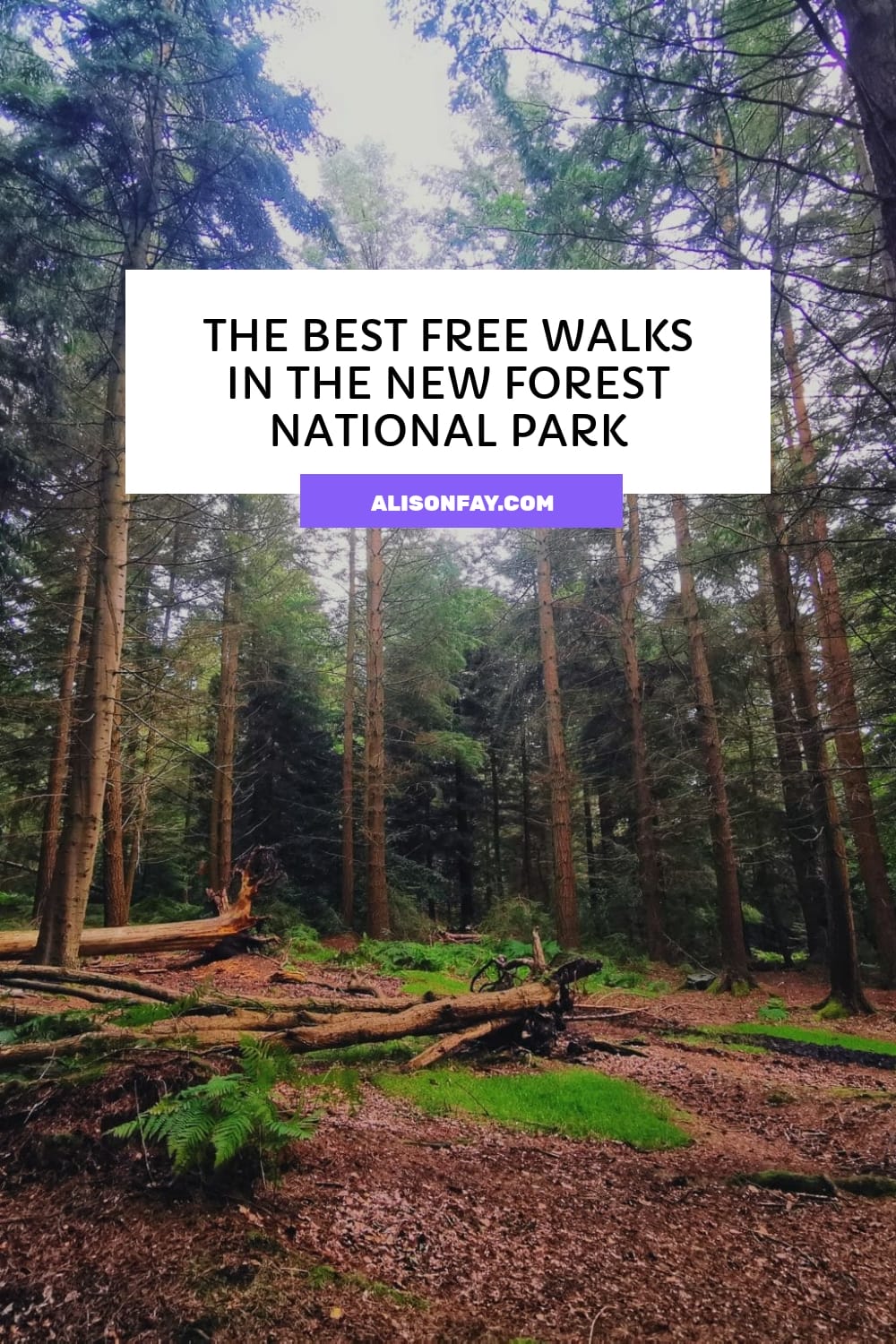 The Best Free Walks in the New Forest National Park